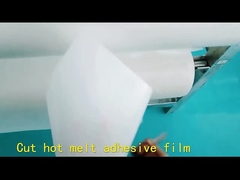 용융 접착제 필름